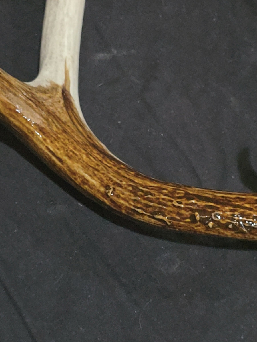 VAT Antler Stain – Velvet Antler Technologies